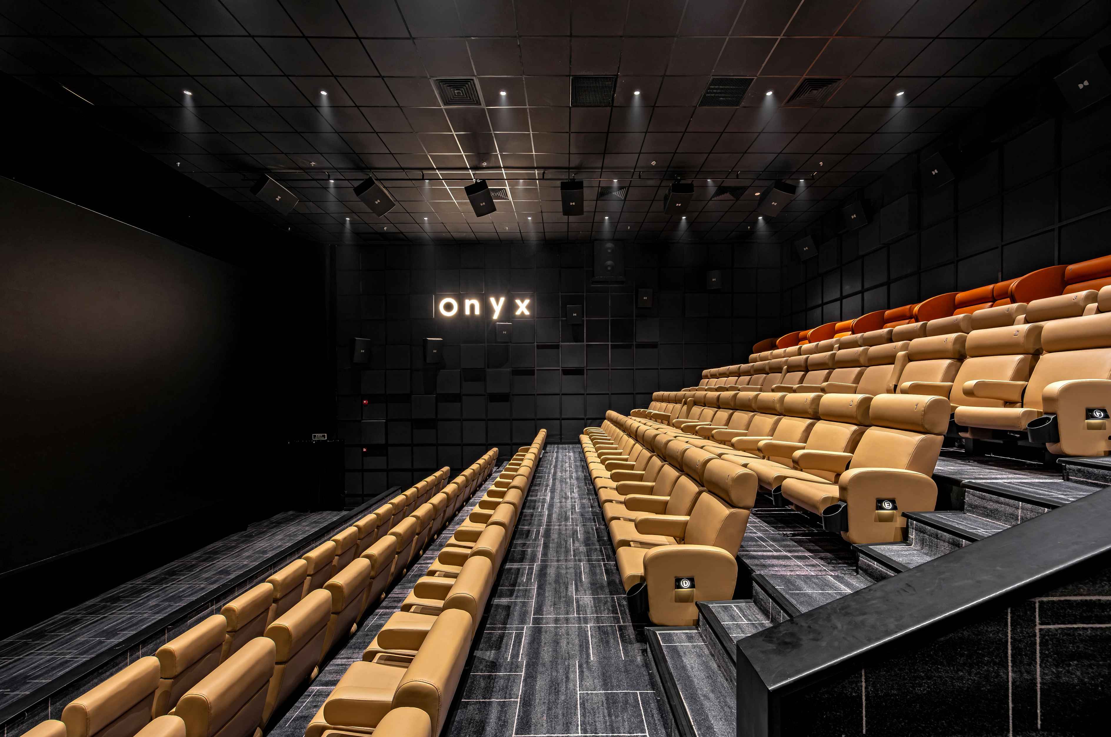 ONYX X DOLBY ATMOS - 2